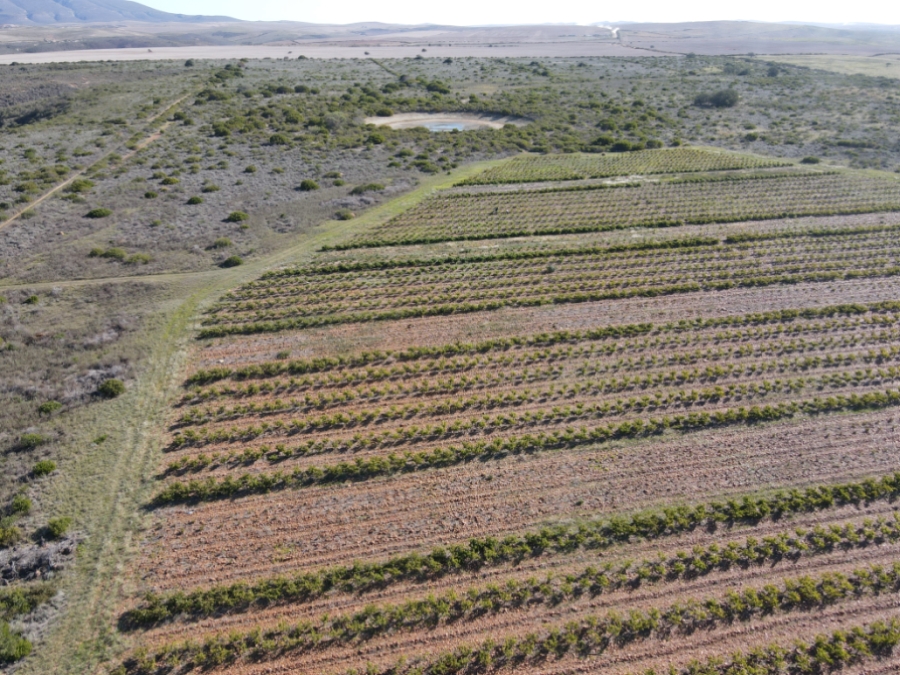 Commercial Property for Sale in Malgas Western Cape